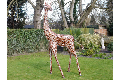 Giraffe Medium