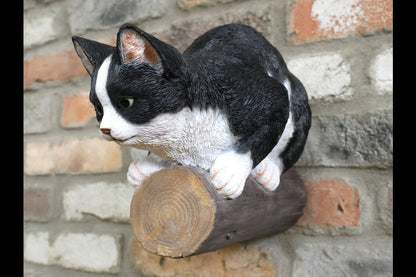 Cat On A Branch