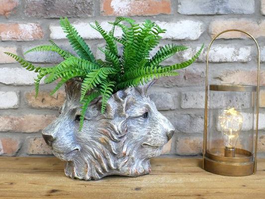3 Lion Head Planter
