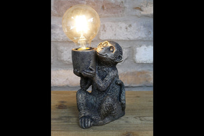 Monkey Light