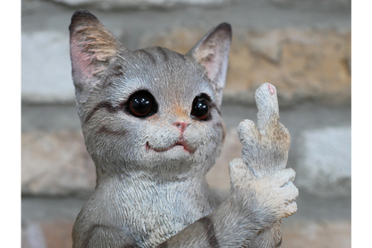 Up Yours Cat