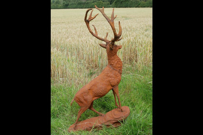 Rusty Stag