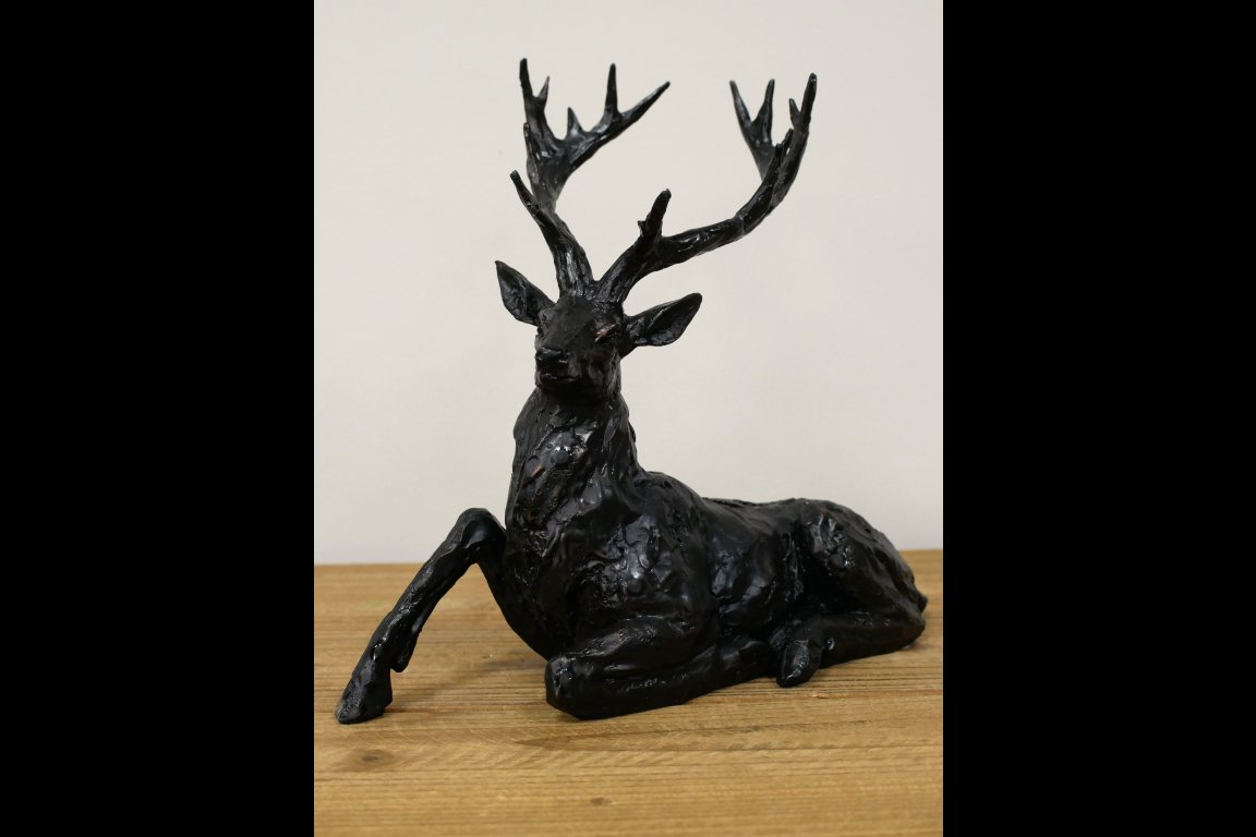 Laying Stag