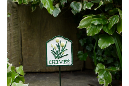 Herb Sign (Chives)