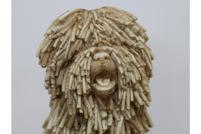 Sitting Shaggy Dog