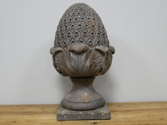 Acorn