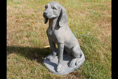 Sitting Dog