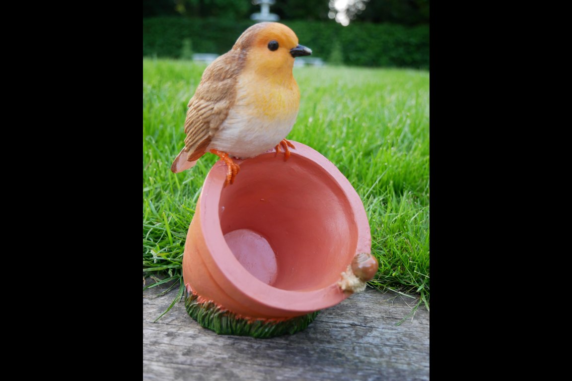Bird Feeder