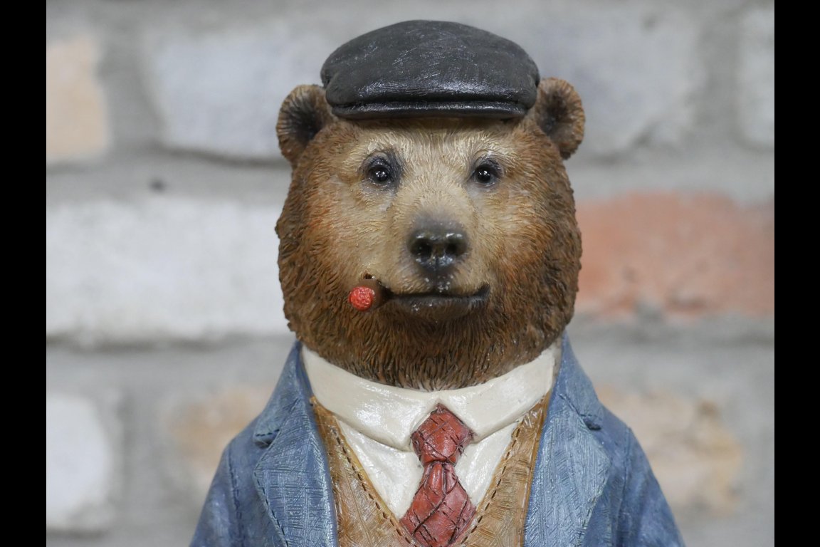 Mr Bear