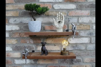 Set Of 2 Shelves with Shelf Sitter