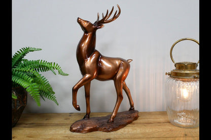 Stag