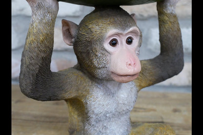 Monkey Leaf Dish