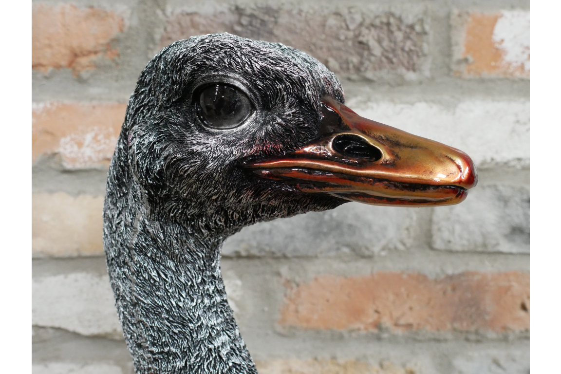 Emu Bust
