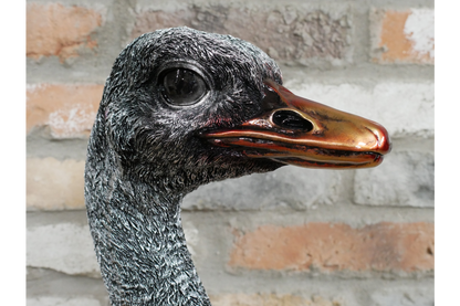 Emu Bust