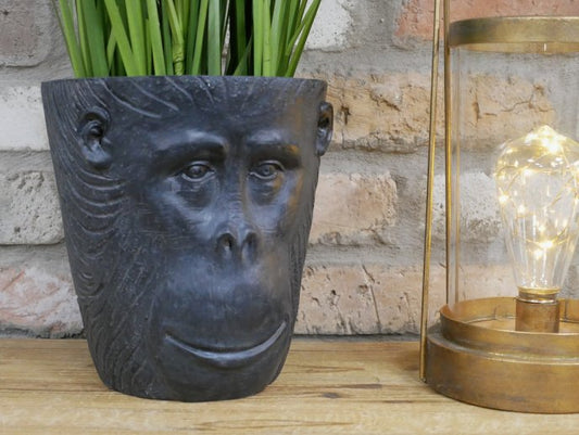 Monkey Head Planter
