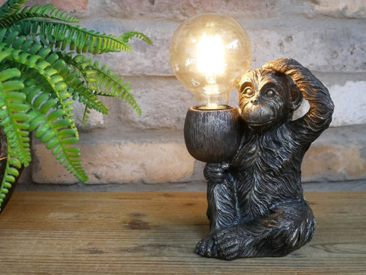 Monkey Light