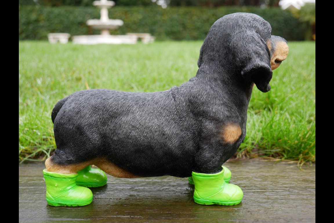 Dog In Boots