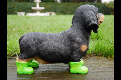 Dog In Boots
