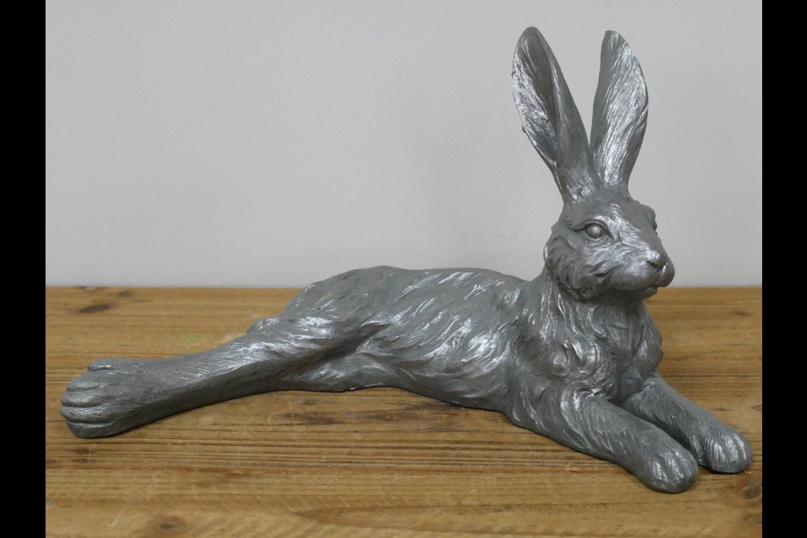 Laying Hare