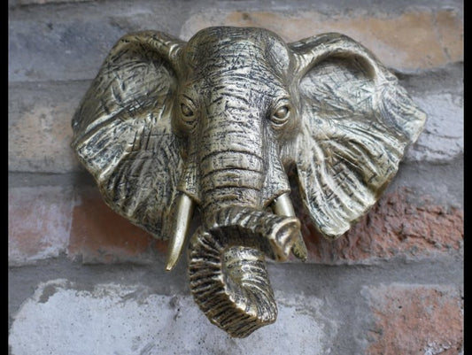 Elephant Head