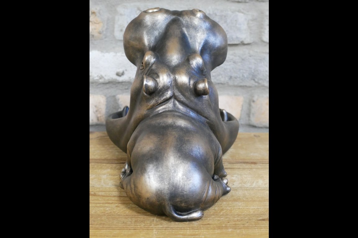 Big Mouth Hippo