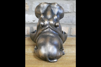 Big Mouth Hippo