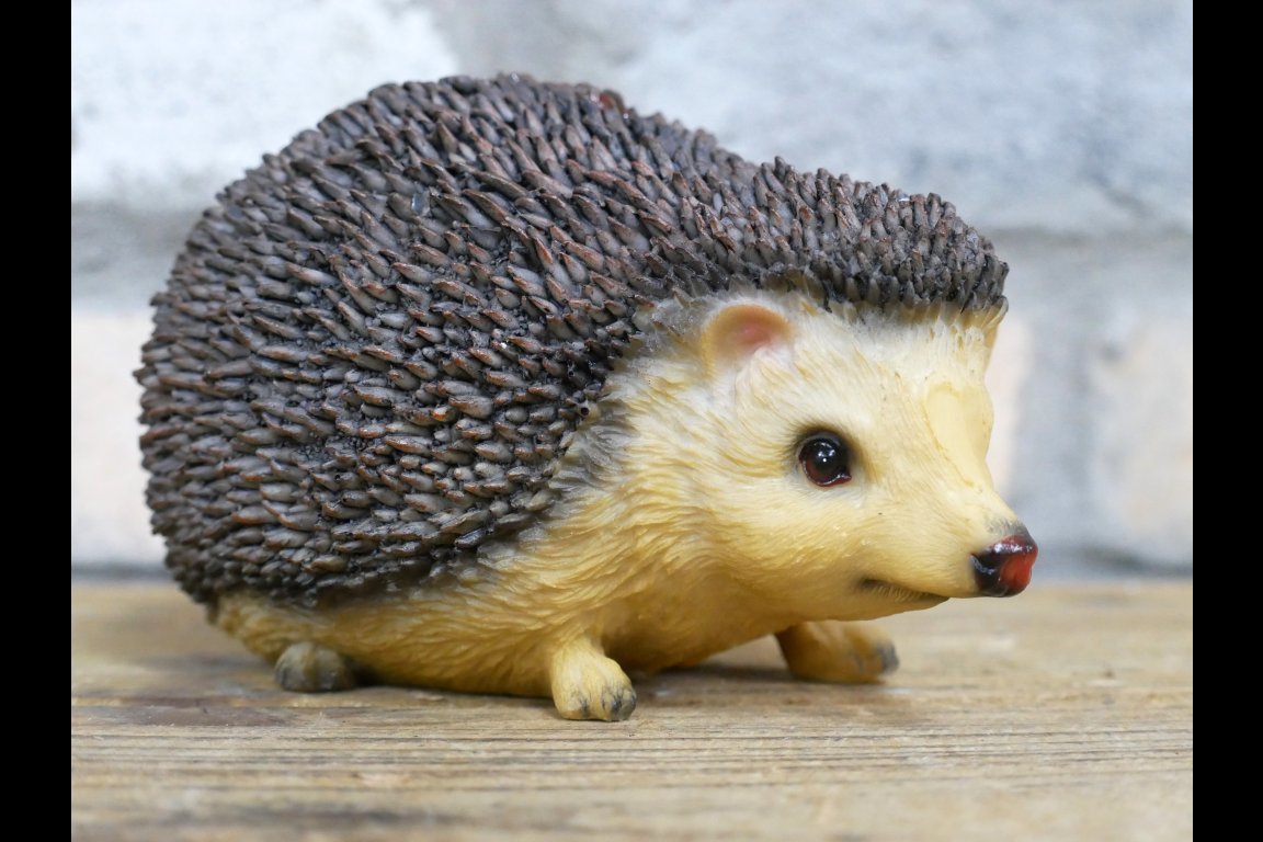 Hedgehog