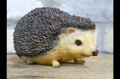 Hedgehog
