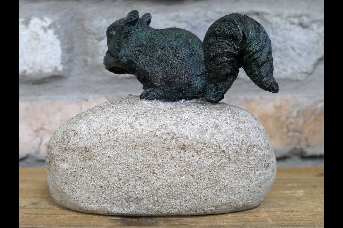 Squirrel On A Rock