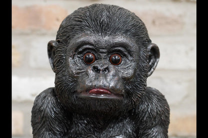 Baby Gorilla