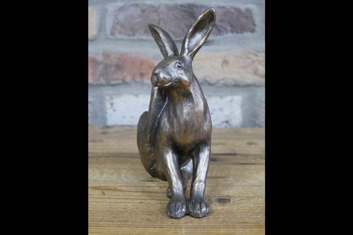 Hare
