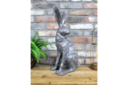 Sitting Rabbit