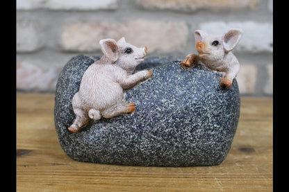 Small Pig Trough