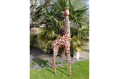 Giraffe Small