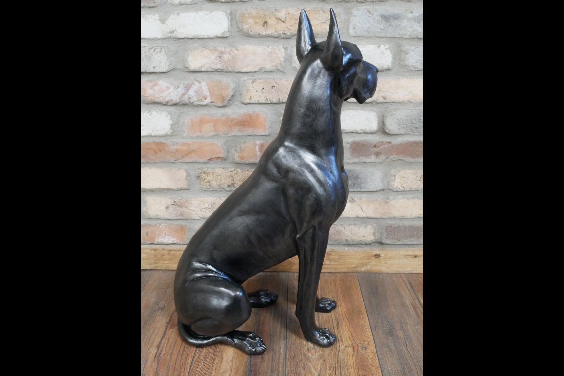 Sitting Great Dane