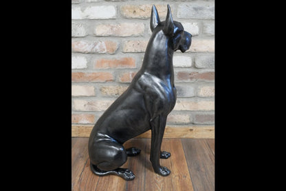 Sitting Great Dane