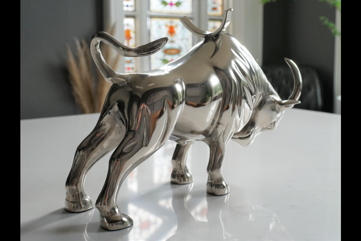 Bull Bottle Holder