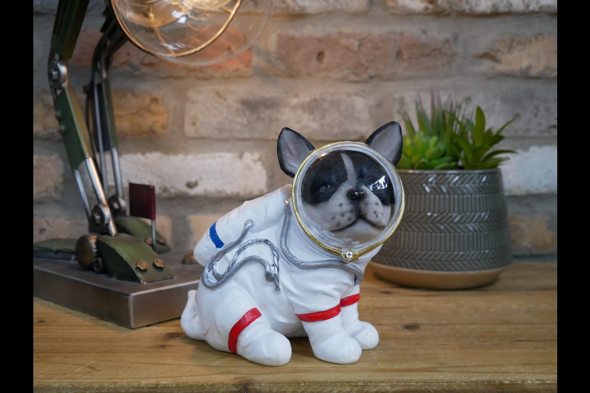 Space Dog