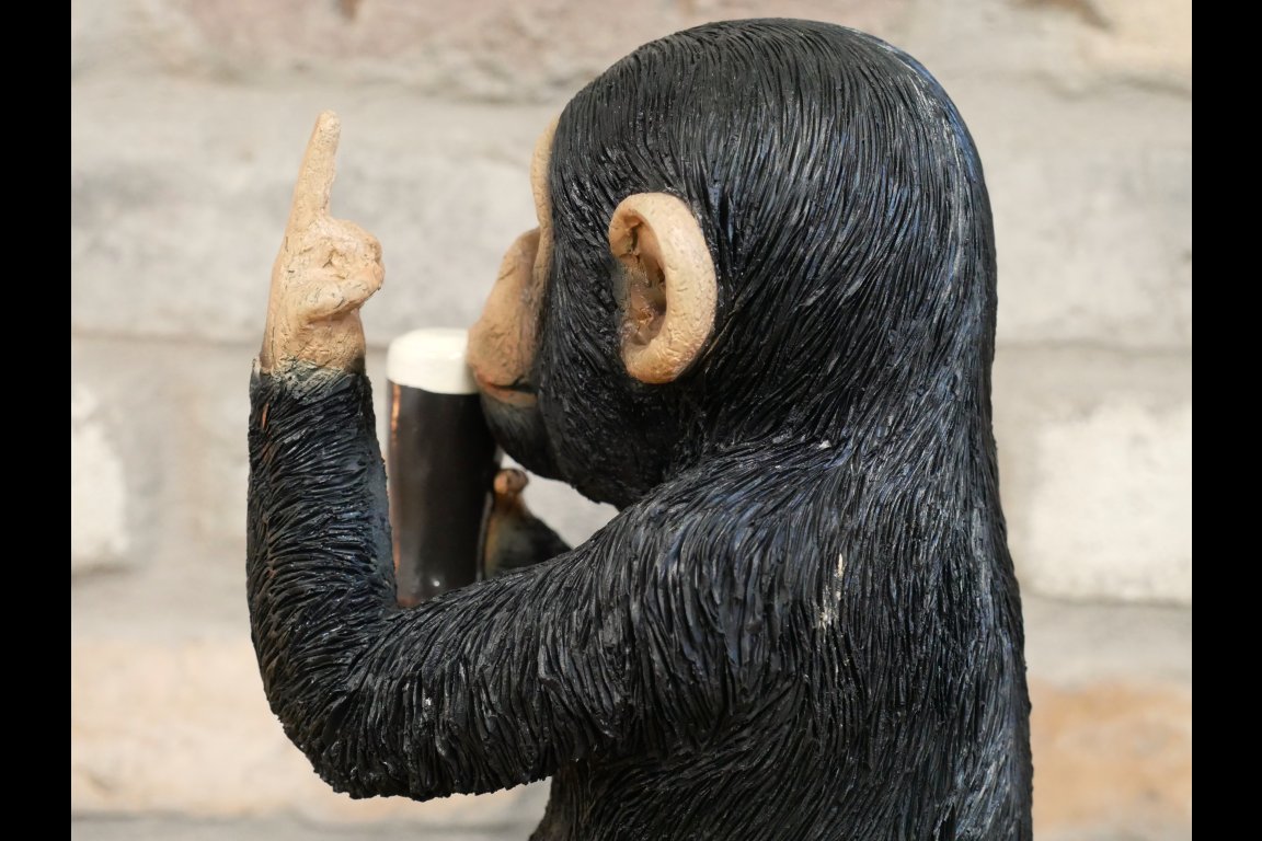 Up Yours Monkey McGuinness