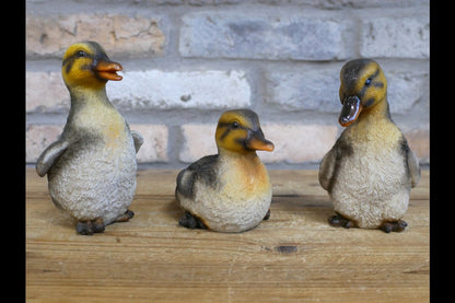 Set Of 3 Ducks