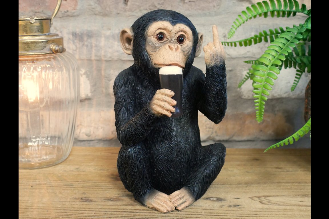 Up Yours Monkey McGuinness