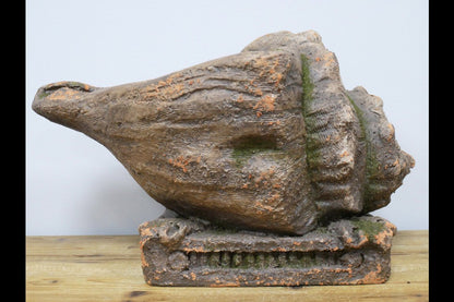 Shell Planter