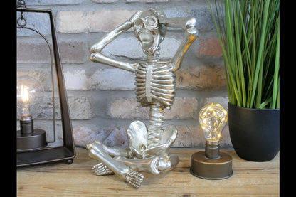 Skeleton