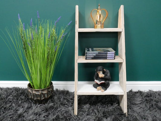 Decorative Ladder