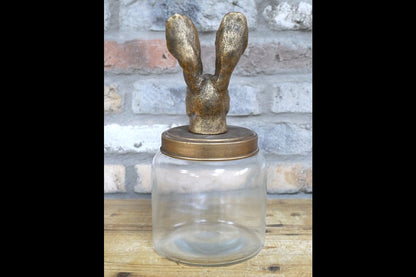 Rabbit Jar