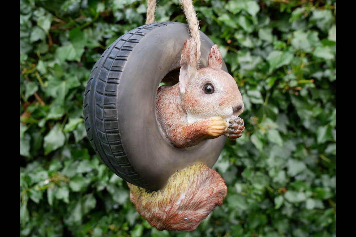 Squirrel In Tyre