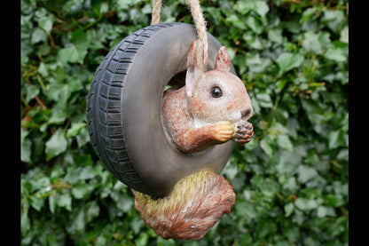 Squirrel In Tyre