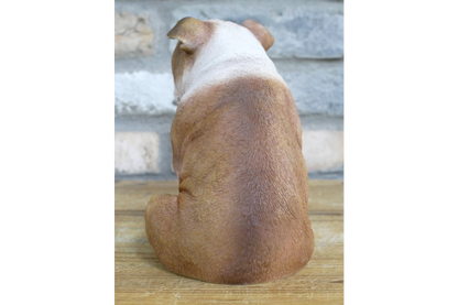 Bulldog
