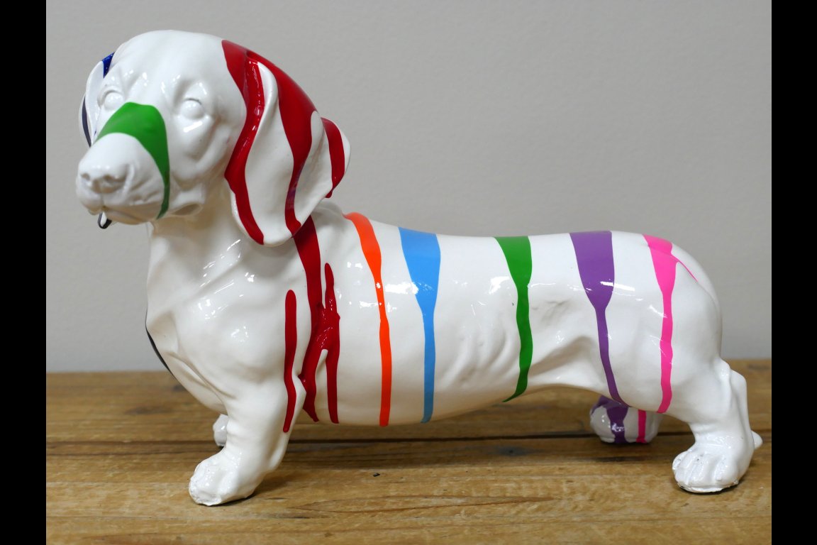 Dog With Stripes