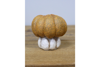 Small Pumpkin